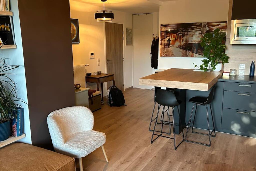 Bel Proche Centre Et Appartement Annecy